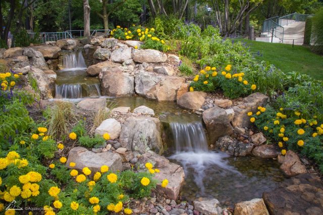 I hate the sound of water flowing- Said no one ever! “There's no better place to find yourself than sitting by a waterfall and listening to its music” Imagine being in the presence of this relaxing water feature😍 . . . . . . . . . . . . . . #waterfeaturewednesday #backyardgardens #backyardgardeners #backyardgrowers #outdoorlifestyles #outdoorlivingideas #waterfeaturedesign #backyardoasis🌴 #creativelandscape #landscapedesigners #landscapedesigning #landscapedesignideas #landscaperslife #landscaperlife #landscaperenovation #landscapersofinsta #landscaperemodel #landscaperestoration #landscaperdesign #landscaperphotography #landscapedesignerlife #kitchenerrealestate #kitchenerwaterloocambridge #kitchenerbusiness