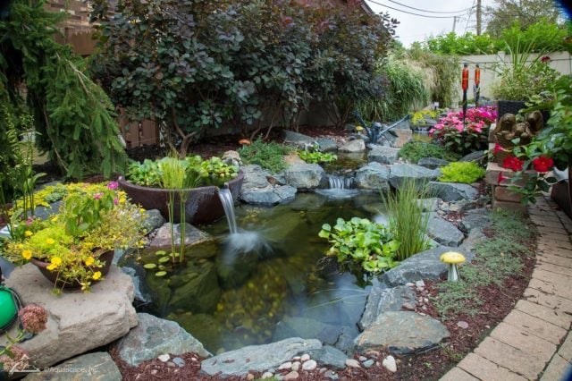 #WaterFeatureWednesday 😍 “When life places stones in your path, be the water. A persistent drop of water will wear away even the hardest stone.” Hope you have a wonderful day today! . . . . . . . . #pond #koi #koifish #koipond #waterfeature #backyardgarden #backyarddesign #landscapedesign #kitchener #waterloo #kwawesome #guelph #stratford #milton #hamilton #burlington #oakville #aquascape #landscaping #luxuryliving #exteriordesign #customhomedesign #designersofinstagram #paver #pavers #outdoorliving #landscaping #hardscape